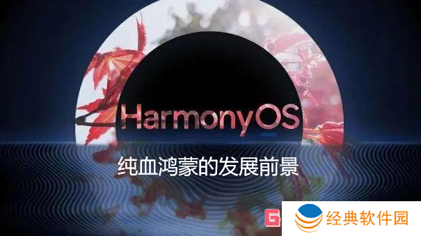 纯血鸿蒙的发展道路分析