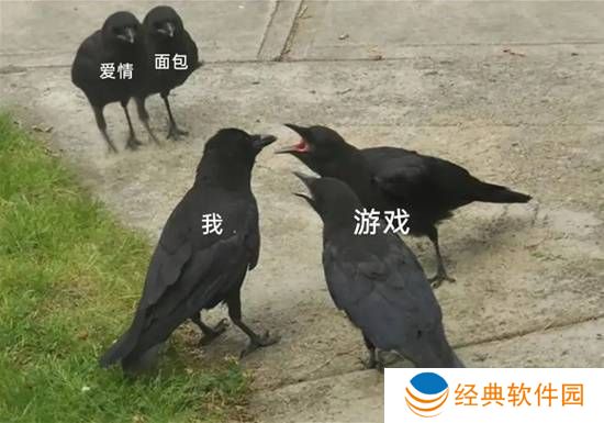 极乐软件园