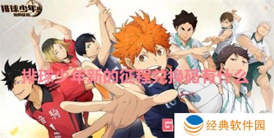 排球少年新的征程兑换码有什么