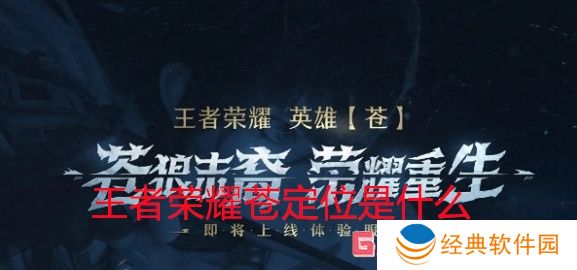 王者荣耀苍定位是什么 王者荣耀职业苍定位介绍