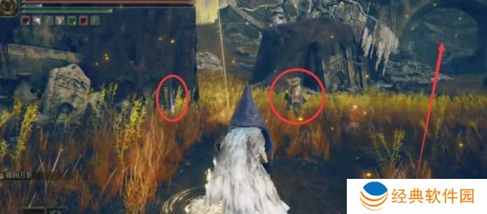 艾尔登法环dlc幽影树碎片收集攻略