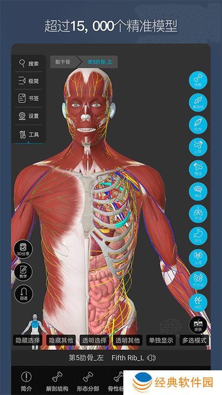 维萨里3D解剖免费安卓版